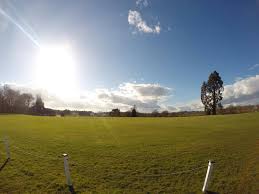 Image result for Cuckfield Cc