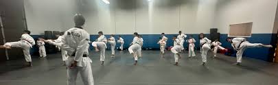 Image result for COMBAT TAEKWONDO