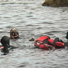 Image result for Apneists UK
