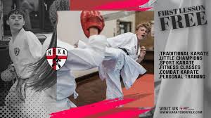 Image result for Norfolk Karate