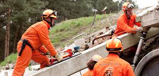 Image result for holmac tehron