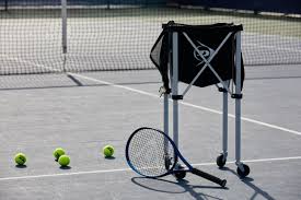 Image result for Lane Tennis Club Ltd