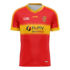 Image result for Moycarkey-Borris Gaa Club