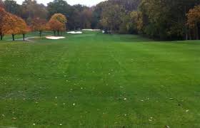 Image result for York University Golf Club