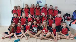 Image result for Wisbech Swimming Club