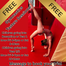 Image result for Waveney Gymnastics Club