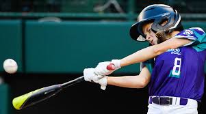 Image result for Elmbridge Girls` Little League