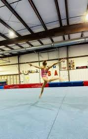 Image result for Sheredes Gymnastics Club