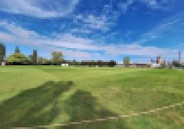 Image result for Billingham Synthonia Cricket Club