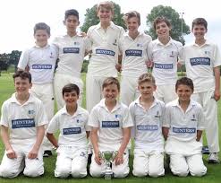 Image result for York University Cricket Club
