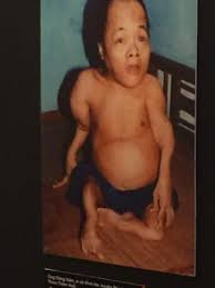 Image result for агент оранж