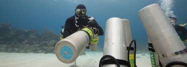Image result for Headstream Divers