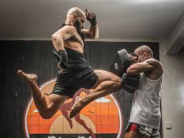 Image result for Vipers Thai/Kickboxing School