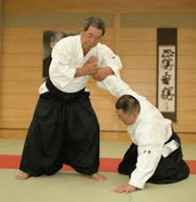 Image result for Ellis Schools of Traditional Aikido