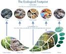 Footprint Basics - Overview
