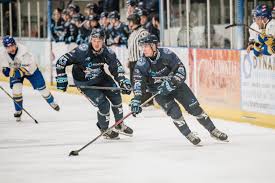 Image result for Leeds Sharks