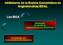 la enzima <b>Angiotensina I</b>