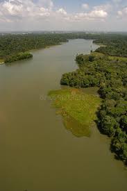 Image result for bacía