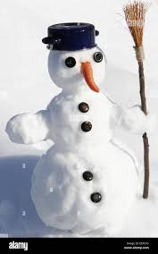 Image result for Schneemann