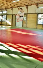 Image result for enpi dojo
