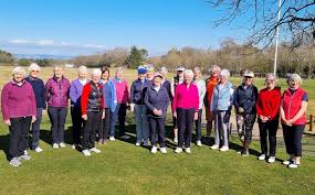 Image result for Brechin Golf Club