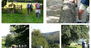 Image result for EXETER RAMBLING CLUB