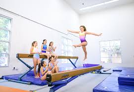 Image result for L&G Acrobatic Gymnastics Club