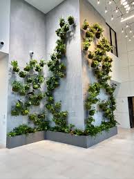 Image result for living wall