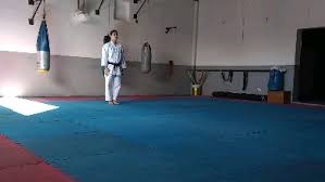 Image result for enpi dojo