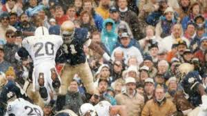 Attēlu rezultāti vaicājumam “Didymium minus young”