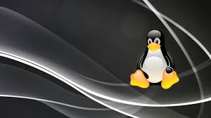 Image result for linux art