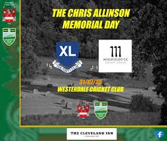 Image result for Westerdale Cricket Club