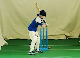 Image result for Vale Cricket Club