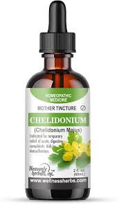 Image result for Chelidonium majus