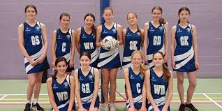 Image result for Mk Netters Netball Club
