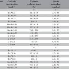 Attēlu rezultāti vaicājumam “Saussurea esthonica flower”