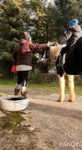 Image result for Greenways Riding Stable Lower Eashing