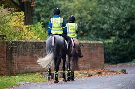 Image result for British Horse Society