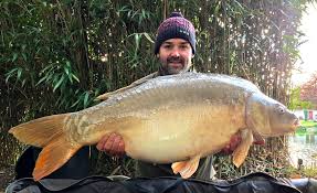 Image result for Byfleet Angling Club