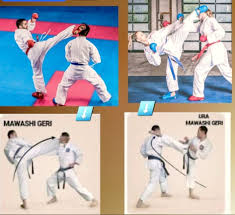 Image result for Katakuri Karate