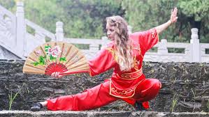 Image result for kung fu