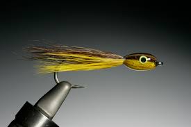 Image result for Hillingdon Streamers