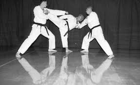 Image result for Thatcham Wado Karate Club