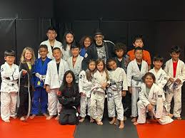 Image result for Pyramid martial arts
