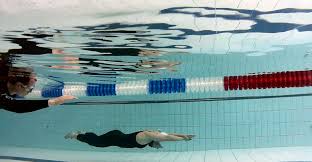 Image result for Apneists UK