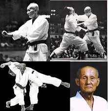 Image result for Burnley Wado Ryu Karate Club