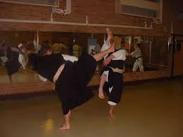 Image result for Southampton University Shorinji Kempo Club