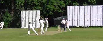 Image result for Peper Harow Cricket Club