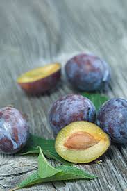 Attēlu rezultāti vaicājumam “Prunus domestica subsp. domestica leaf”