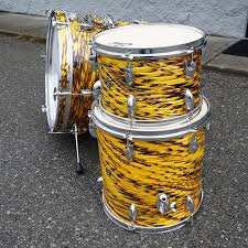 Attēlu rezultāti vaicājumam “Diderma radiatum young”